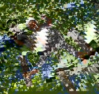 Fields of Fire Adventure Park Admission Ticket - Accommodation Texas