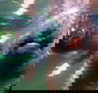 Private Manatee Tour - Accommodation Texas