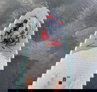 Manatees Paddle Board or kayak Adventure at Blue Spring - Accommodation Texas