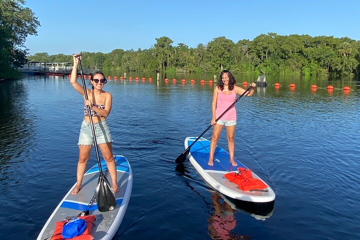 Manatees Paddle Board Or Kayak Adventure At Blue Spring - thumb 1