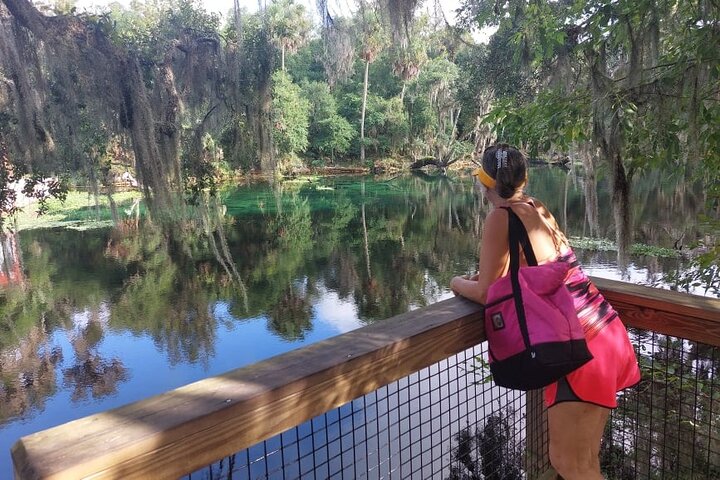 Manatees Paddle Board Or Kayak Adventure At Blue Spring - thumb 3