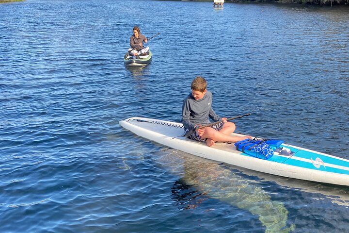 Manatees Paddle Board Or Kayak Adventure At Blue Spring - thumb 4