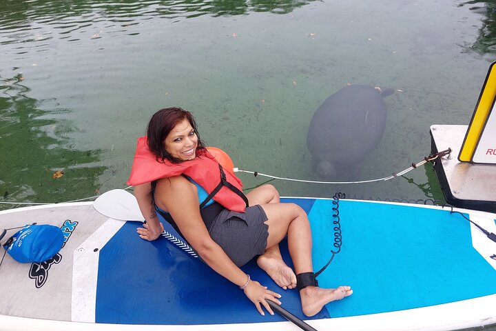 Manatees Paddle Board Or Kayak Adventure At Blue Spring - thumb 5