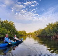 Thousand Islands Mangrove Tunnel and Bioluminescent Comb Jelly Sunset Kayak Tour - Accommodation Texas