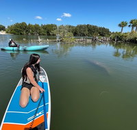 Wildlife Refuge Manatee Dolphin  Mangrove Kayak or Paddleboarding Tour - Accommodation Texas