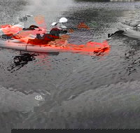 4 Hour Single Kayak Rental In Crystal River Florida - Accommodation Texas