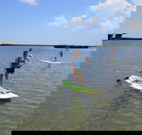 Stand Up Paddle Board Rental in Rose Bay - Accommodation Texas