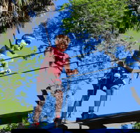 Zipline Adventure through Tuscawilla Park - Accommodation Texas