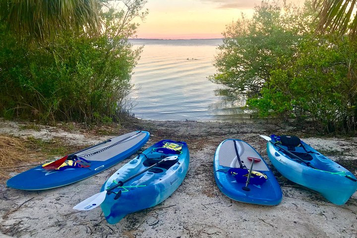 Paddle Board Or Kayak Eco Dolphin Manatee Tour - thumb 1