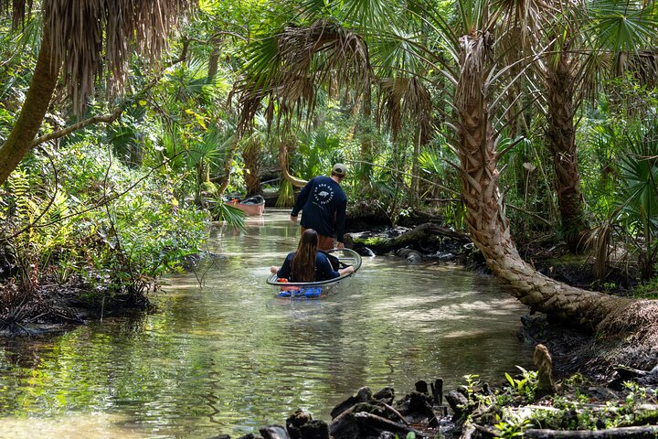 Clear Kayak Tours On Chassahowitzka River - thumb 0