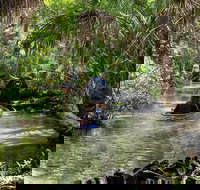 Clear Kayak Tours on Chassahowitzka River - Accommodation Texas