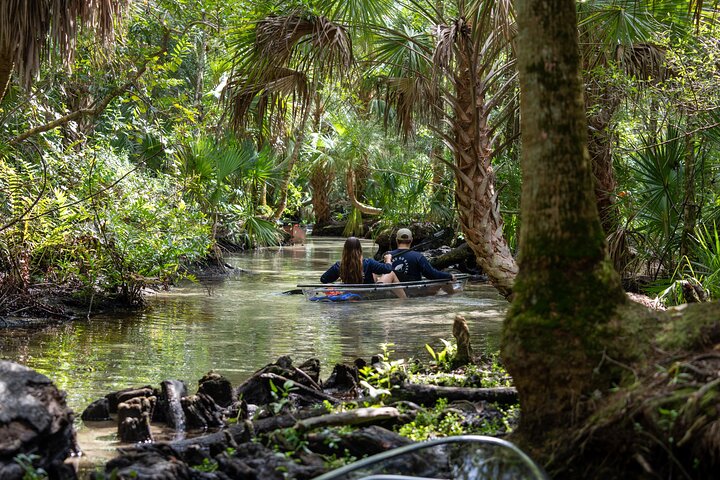 Clear Kayak Tours On Chassahowitzka River - thumb 1