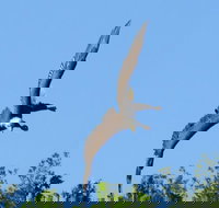 Manatee Discovery Kayak Tour for Small Groups near Orlando - Accommodation Texas