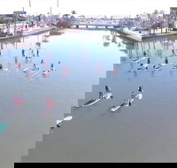 Dolphin and Manatee Stand Up Paddleboard Tour in Daytona Beach - Accommodation Texas