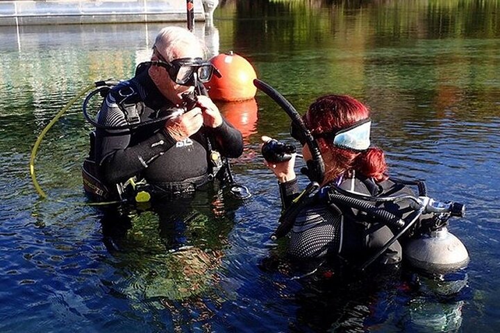 Manatees And Rainbow River By SCUBA Or Snorkel - thumb 1