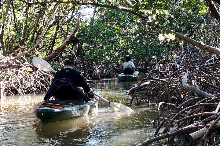 2 Or 3 Hour Naples Kayak Rental With Single & Tandem Options - thumb 0