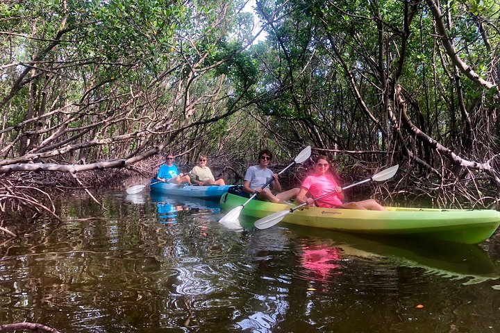 2 Or 3 Hour Naples Kayak Rental With Single & Tandem Options - thumb 2