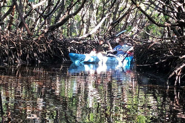 2 Or 3 Hour Naples Kayak Rental With Single & Tandem Options - thumb 3