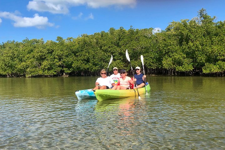 2 Or 3 Hour Naples Kayak Rental With Single & Tandem Options - thumb 4