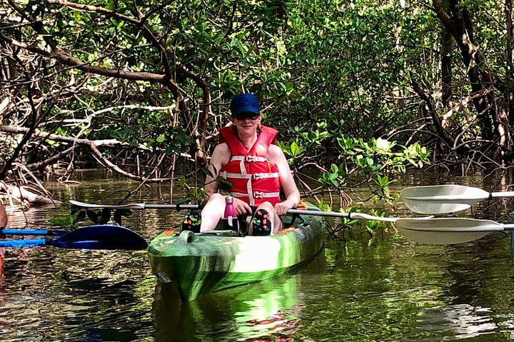 2 Or 3 Hour Naples Kayak Rental With Single & Tandem Options - thumb 5