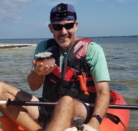 Manatee and Dolphin Kayaking  Haulover Canal Titusville - Accommodation Texas