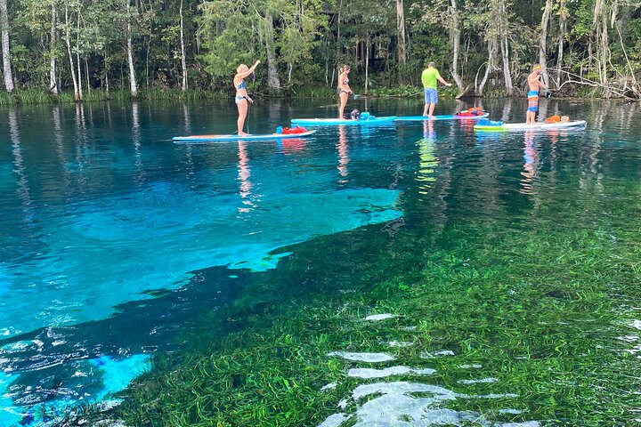 Manatees Paddle Board Or Kayak Adventure At Silver Springs - thumb 0