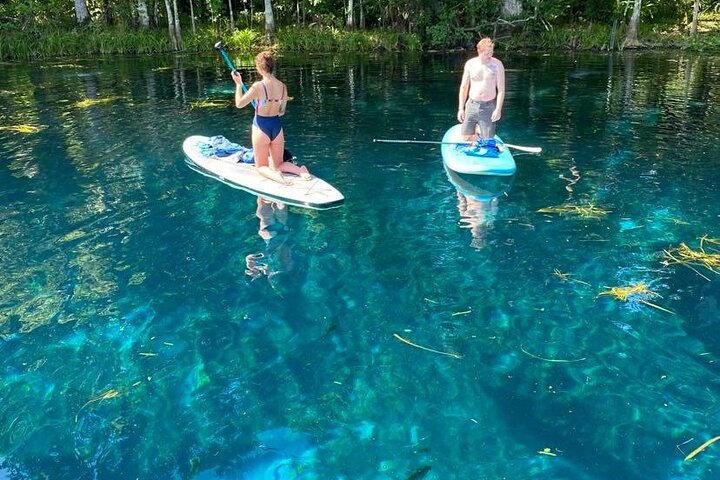 Manatees Paddle Board Or Kayak Adventure At Silver Springs - thumb 1