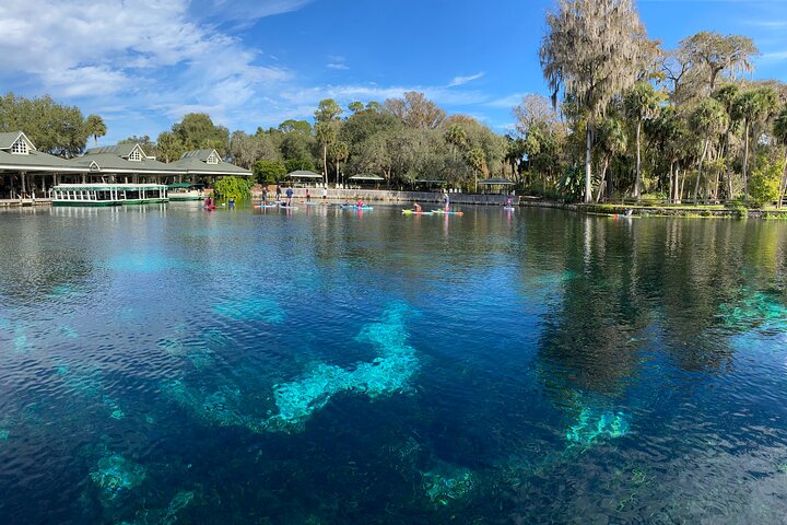 Manatees Paddle Board Or Kayak Adventure At Silver Springs - thumb 2