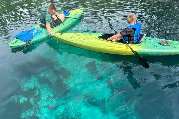 Manatees Paddle Board Or Kayak Adventure At Silver Springs - thumb 3