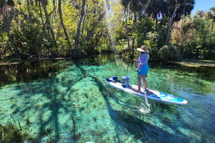Manatees Paddle Board Or Kayak Adventure At Silver Springs - thumb 4