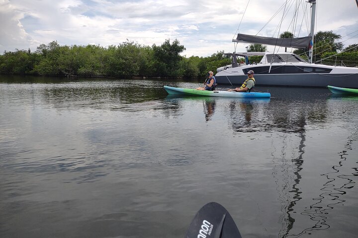 Manatee Cove 1-Hour Single Kayak Rental - thumb 0