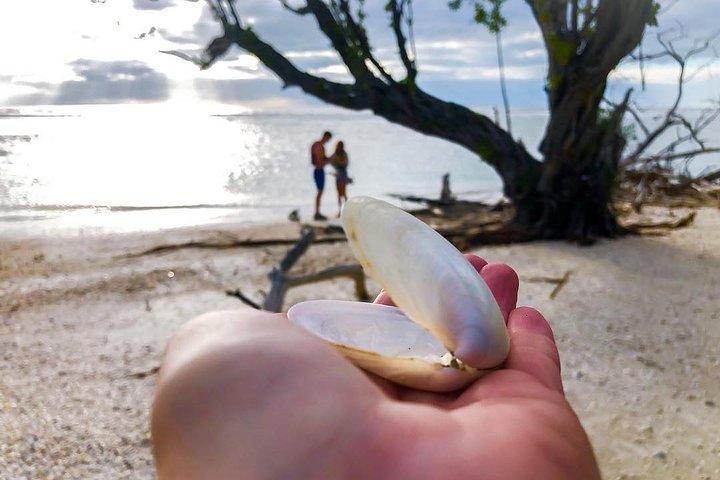 Mangrove Maze Safari Kayak Adventure Tour With Naples Kayak Adventures - thumb 4