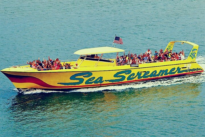 BEST Clearwater Beach & Dolphin Watch Day Tour From Orlando To Mexico Gulf - thumb 0