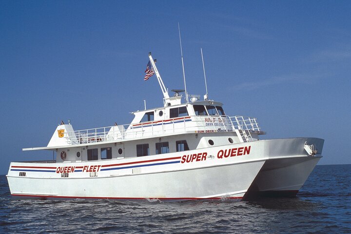 BEST Clearwater Beach & Dolphin Watch Day Tour From Orlando To Mexico Gulf - thumb 2