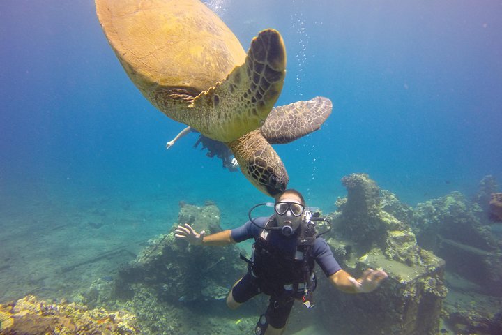 VIP Aloha Nui Snorkel Adventure W/ Optional SCUBA From Lahaina - thumb 0