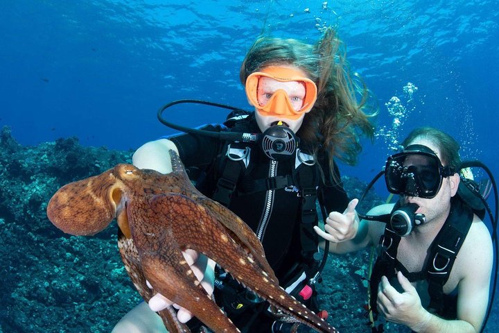 VIP Aloha Nui Snorkel Adventure W/ Optional SCUBA From Lahaina - thumb 2