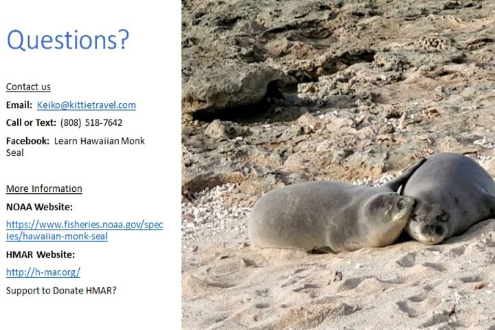 Virtual Hawaiian Monk Seal Class By Zoom - thumb 0
