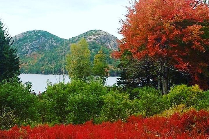 Narrated Bus Tour Of Bar Harbor And Acadia National Park (Classic - 2.5 Hours) - thumb 0