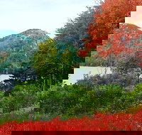 Narrated Bus Tour of Bar Harbor and Acadia National Park Classic - 2.5 Hours - Accommodation Texas