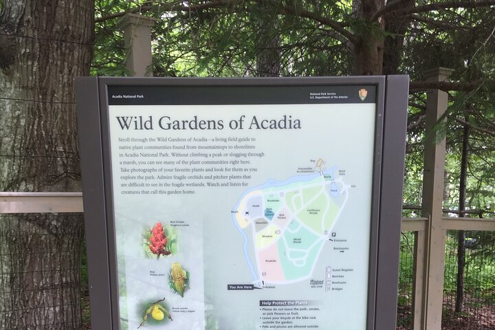 Premium Narrated Bus Tour Of Bar Harbor And Acadia National Park (3.5 Hours) - thumb 0