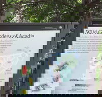 Premium Narrated Bus Tour of Bar Harbor and Acadia National Park 3.5 Hours - Accommodation Texas