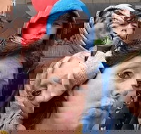 Adventurous Scavenger Hunt in Detroit by Zombie Scavengers - Accommodation Texas