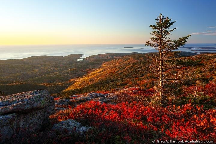 Acadia National Park Private Group Tour- 3 Hours Local Guides - thumb 1