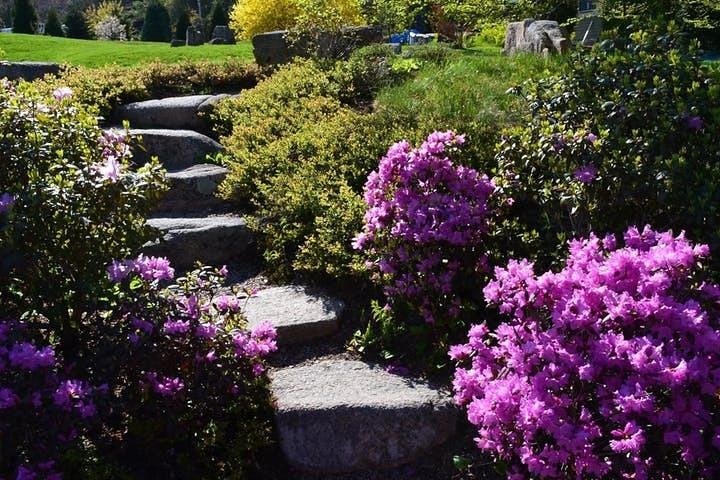 Acadia National Park Private Group Tour- 4 Hours Local Guides - thumb 1