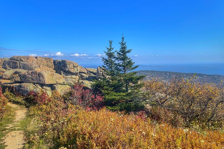 The Best of Maine Private Boutique Full Day Tour