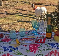 Private Picnic with Goats in Lexington - Accommodation Texas