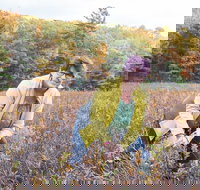 Guided Foraging - Mushroom Hunting Experiences - Accommodation Texas