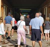 Unique Horse Farm Tours with Insider Access to Private Farms - Accommodation Texas