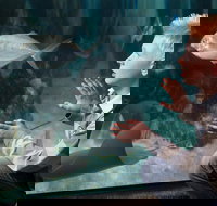 SEA LIFE Michigan Aquarium Admission Ticket - Accommodation Texas