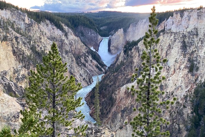 VIP Private Boutique Tour Of Yellowstone's Upper Loop - West Yellowstone, MT - thumb 2